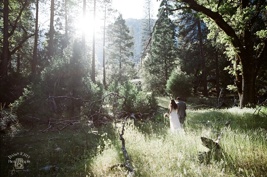 Yosemite Wedding Photographer