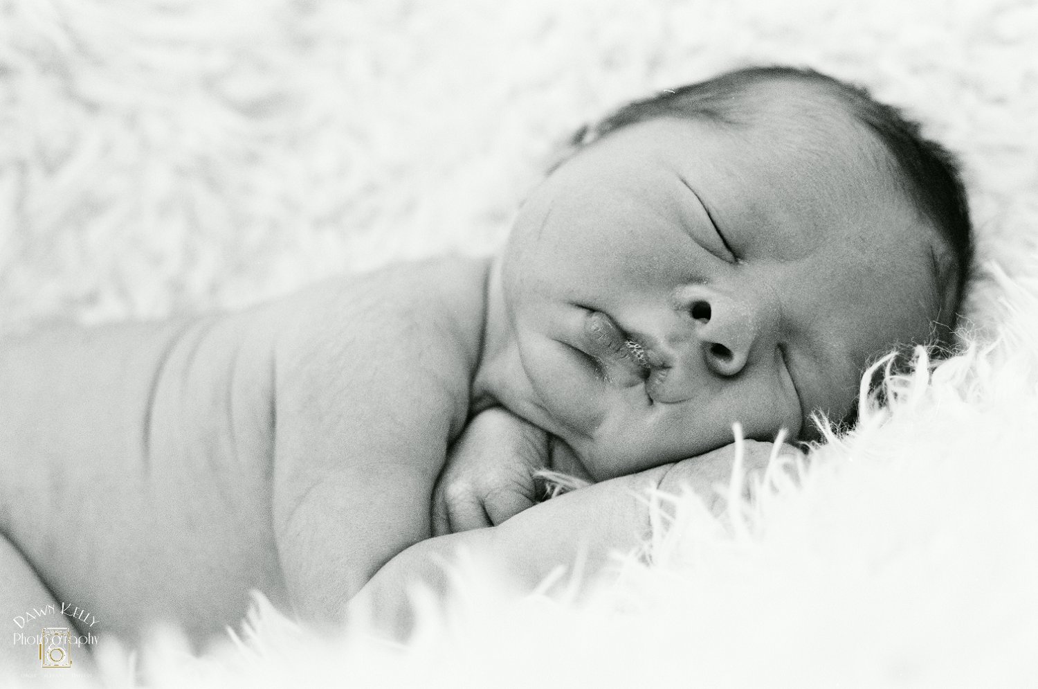 Modesto Newborn Family Photography ~ Alma, Joe, and Joey IV