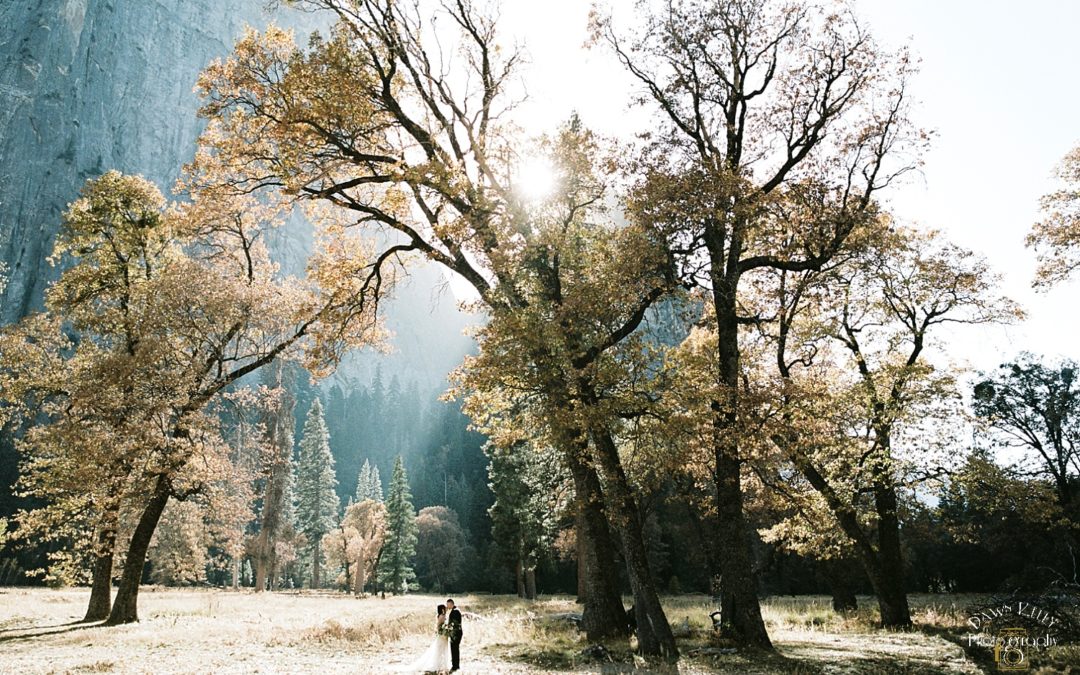 Fall Yosemite Elopement: Brenda + Fabian
