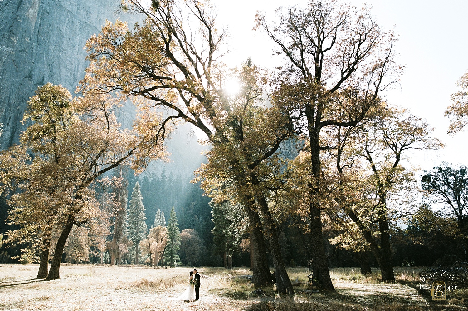 Fall Yosemite Elopement: Brenda + Fabian